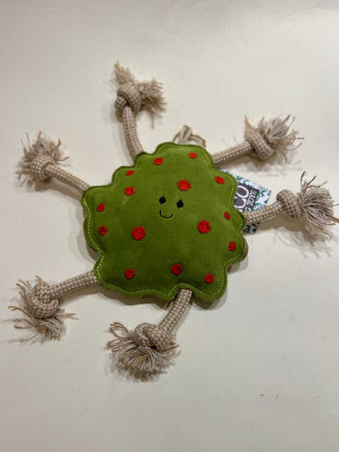 Kotzfleck
