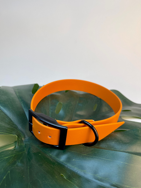 Biothane-Halsand Basic - schwarz/orange