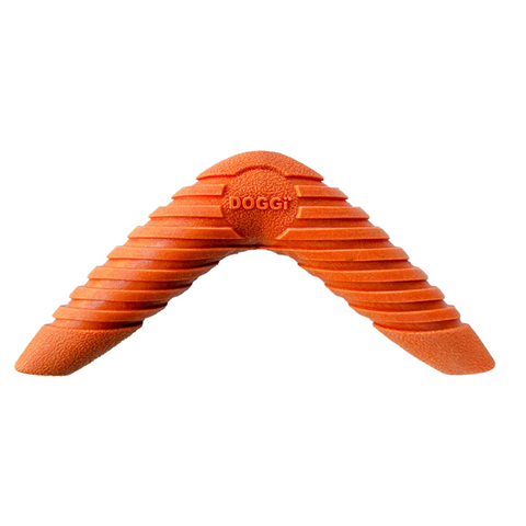 DOGGI Boomerang