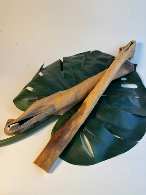 Hirsch-Rückenhaut, 35-40 cm