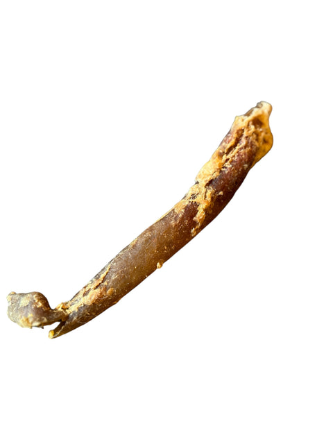 Büffel Aorte