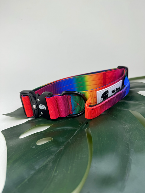 Secure Grip Halsband - Regenbogen